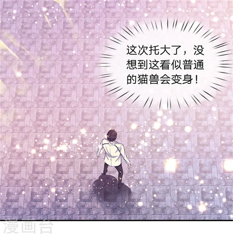 第78话 撸猫能手17