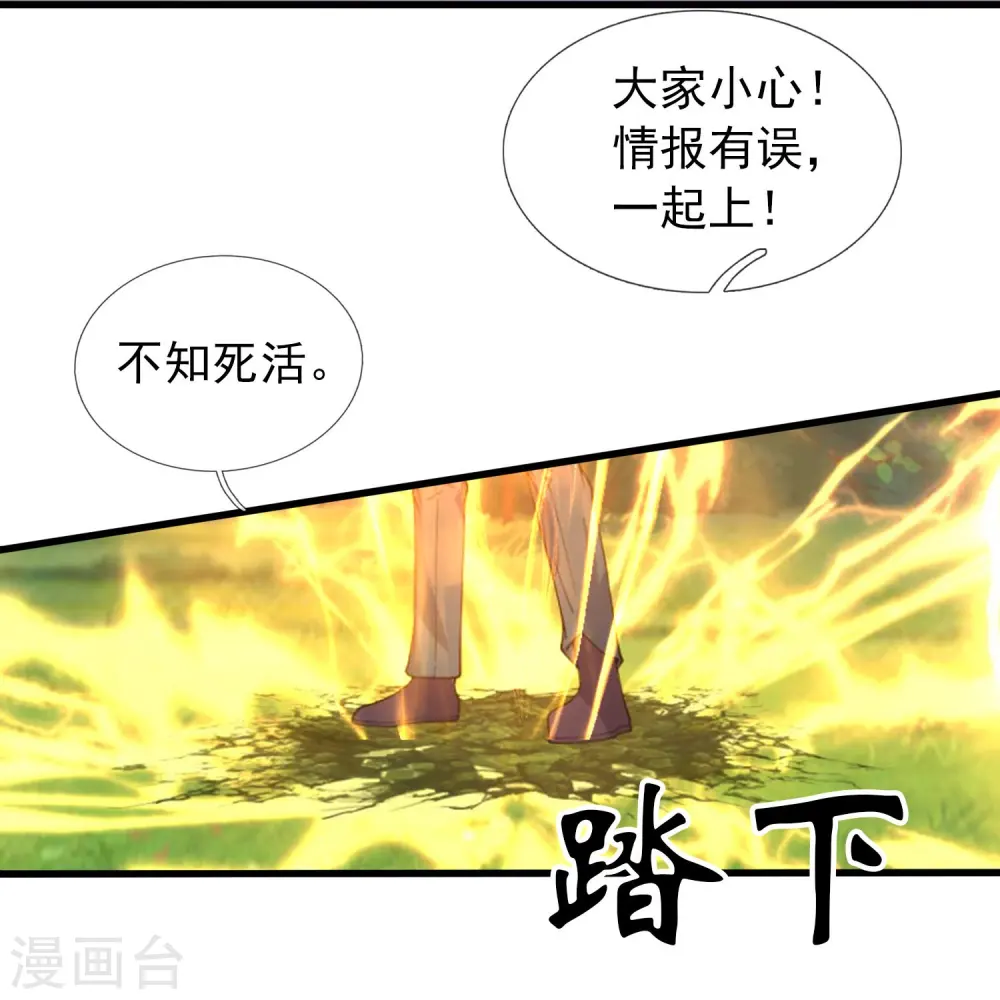 第346话 封印合道花12