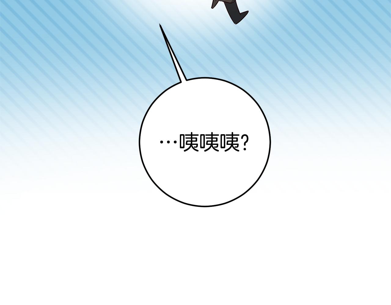 第11话 套路12