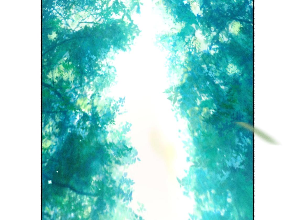 第104话 皇家猎场67