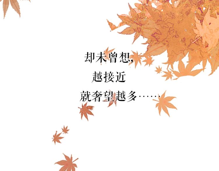 序章 追寻飞蛾扑火般的深情26