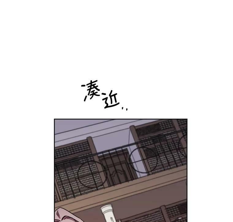 260.新的职业43