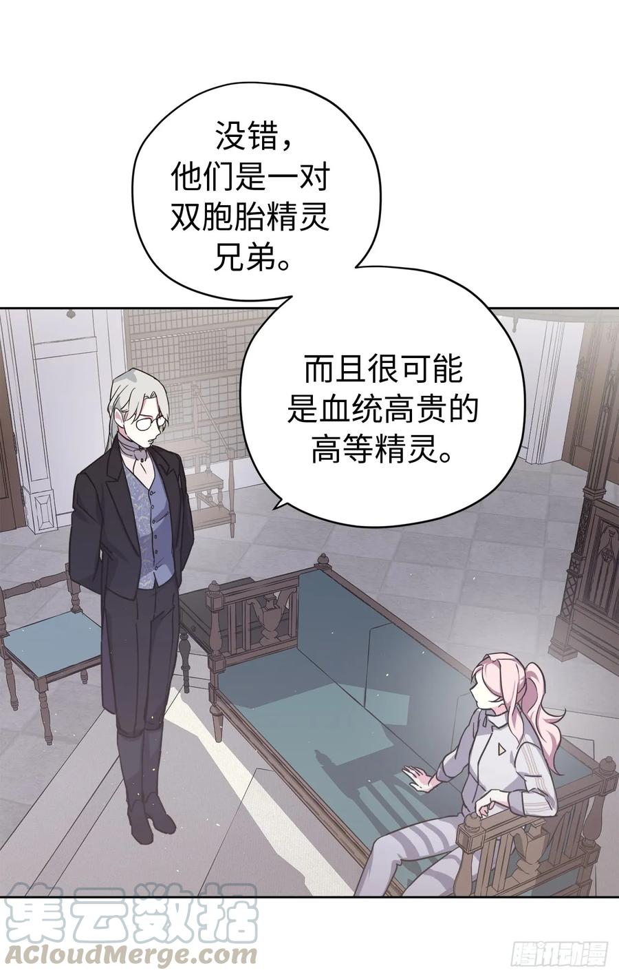 100.双胞胎精灵44