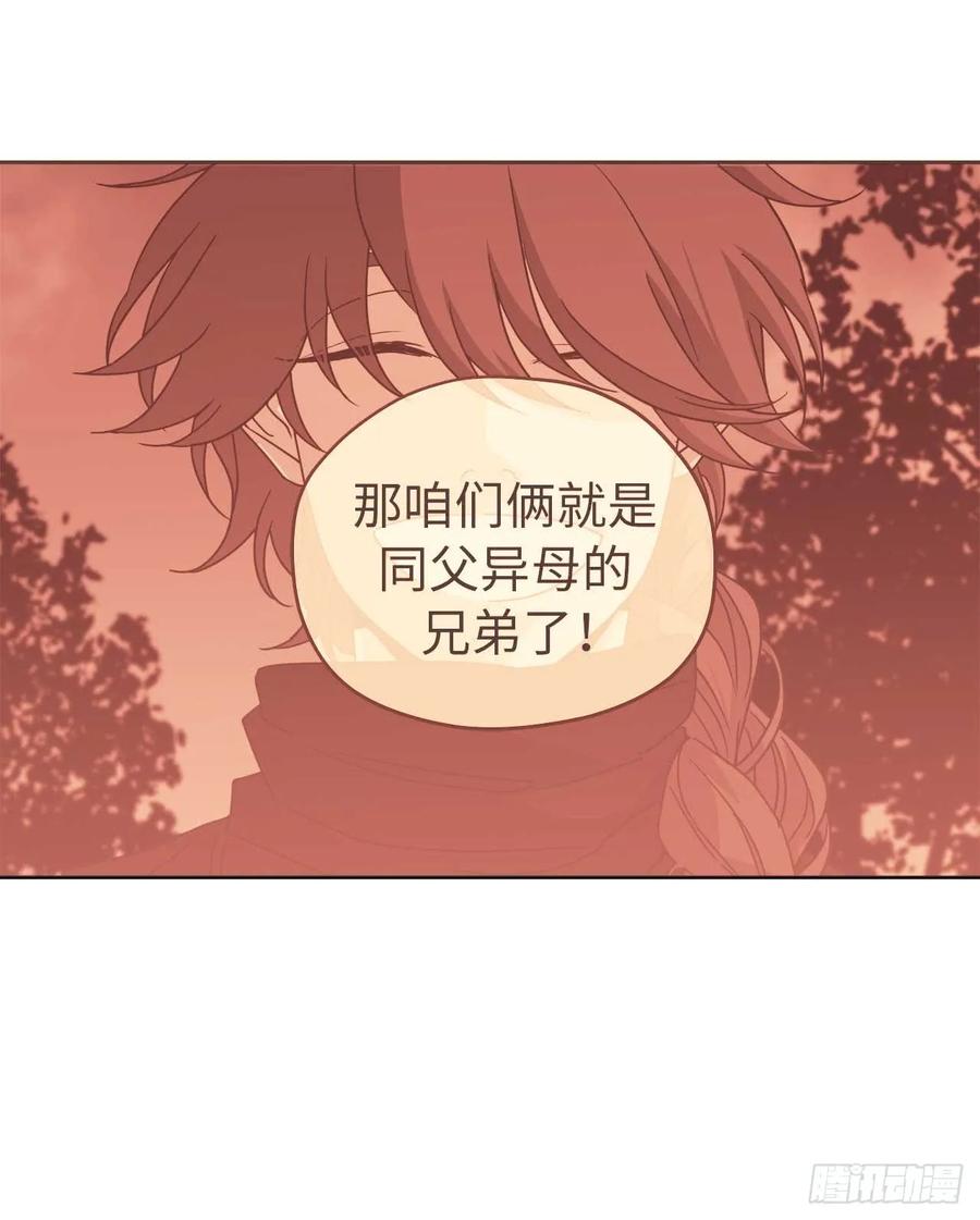 33.泰莱斯7