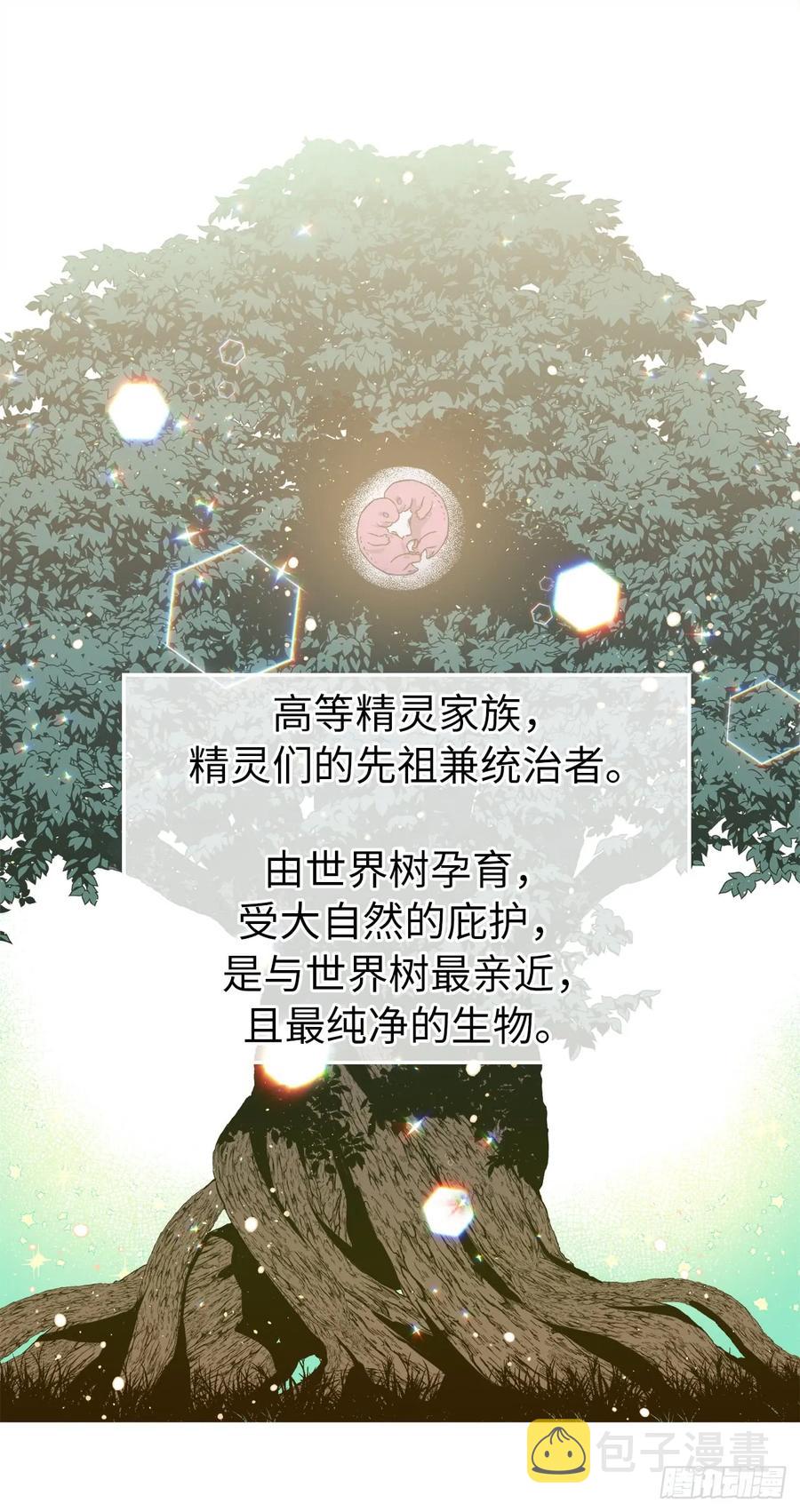 101.精灵的身世13