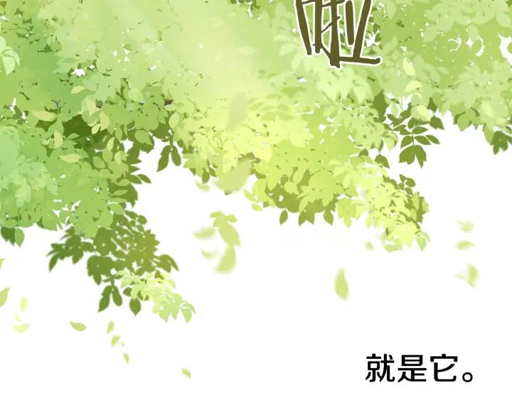 第21话 木香的源头116