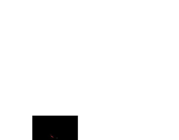 第18话 聚会上的骚乱158