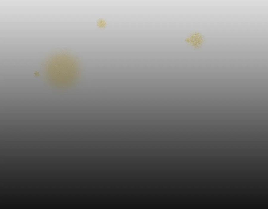 第一季完结篇 月下共舞21