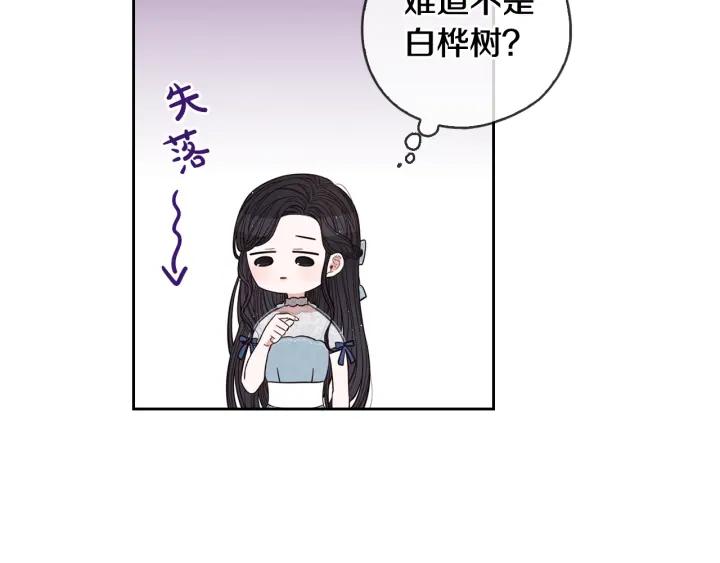 第21话 木香的源头13