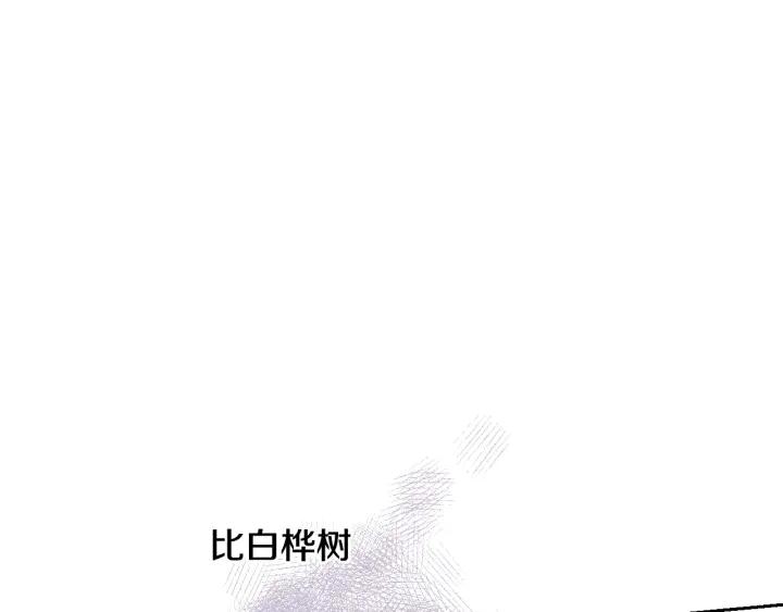 第21话 木香的源头109