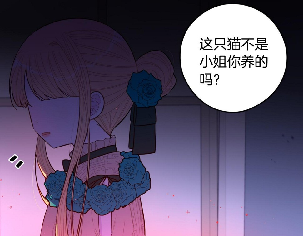 第100话 她的最佳解76
