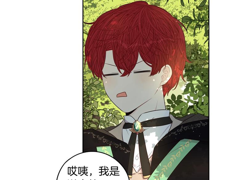 第41话 “胸”恶山贼！122