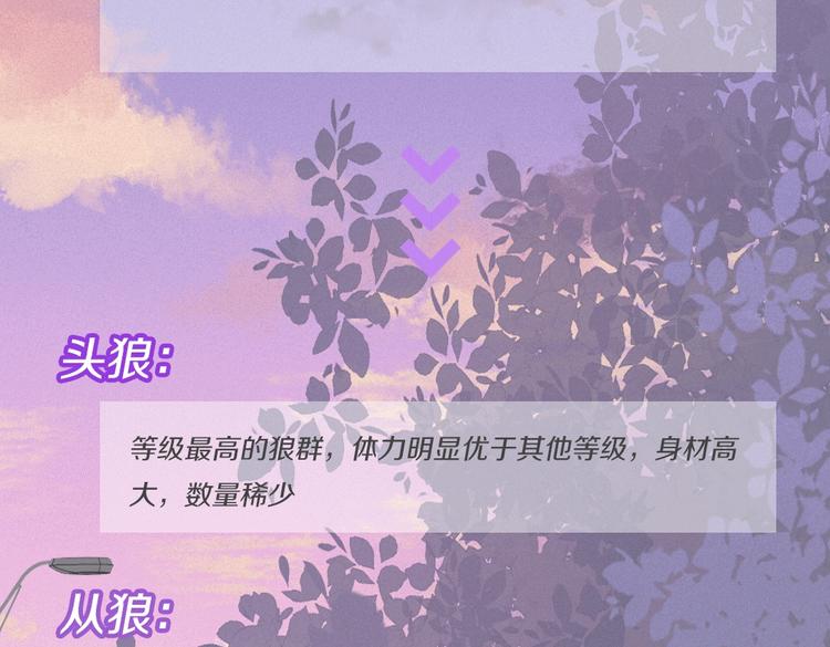 人物小档案6