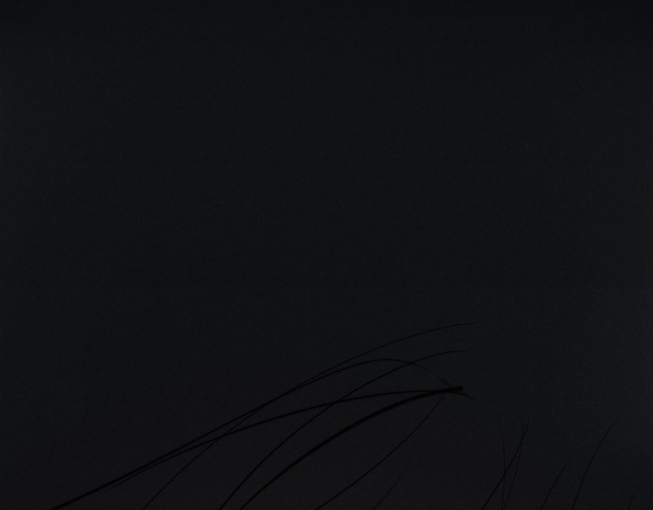 第87话 姚阙哥开始不对劲起来。58