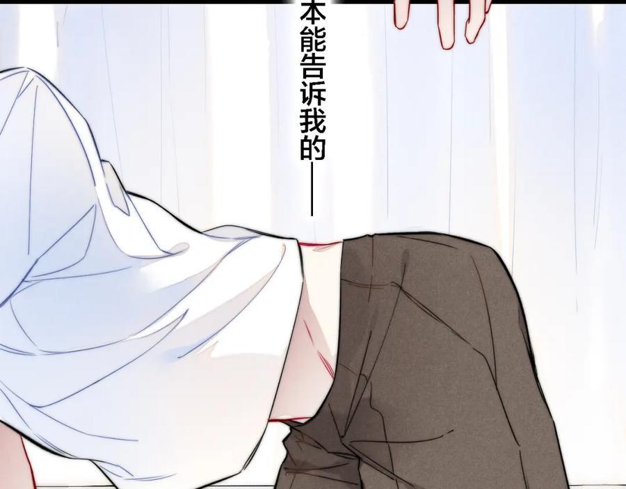同一个世界的辞浅1029