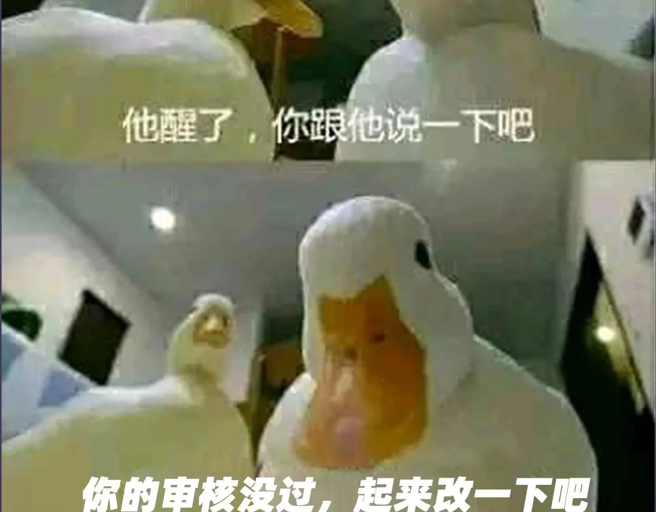 第4期审核那些事15