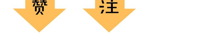番外篇 黄牛的一天98
