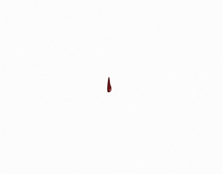 第23话 她是我的朋友！36