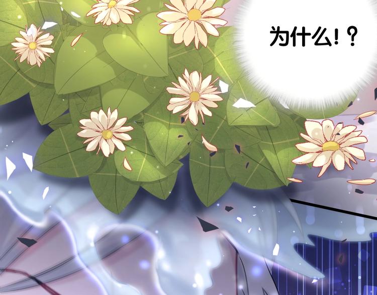 第77话 愿望79