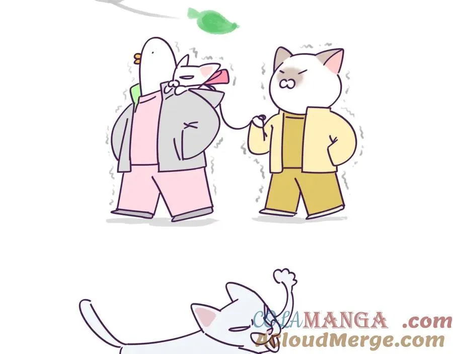 - 停更通知 -2
