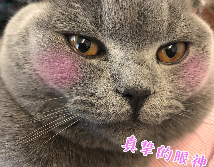 第27话 登门拜访咯~131