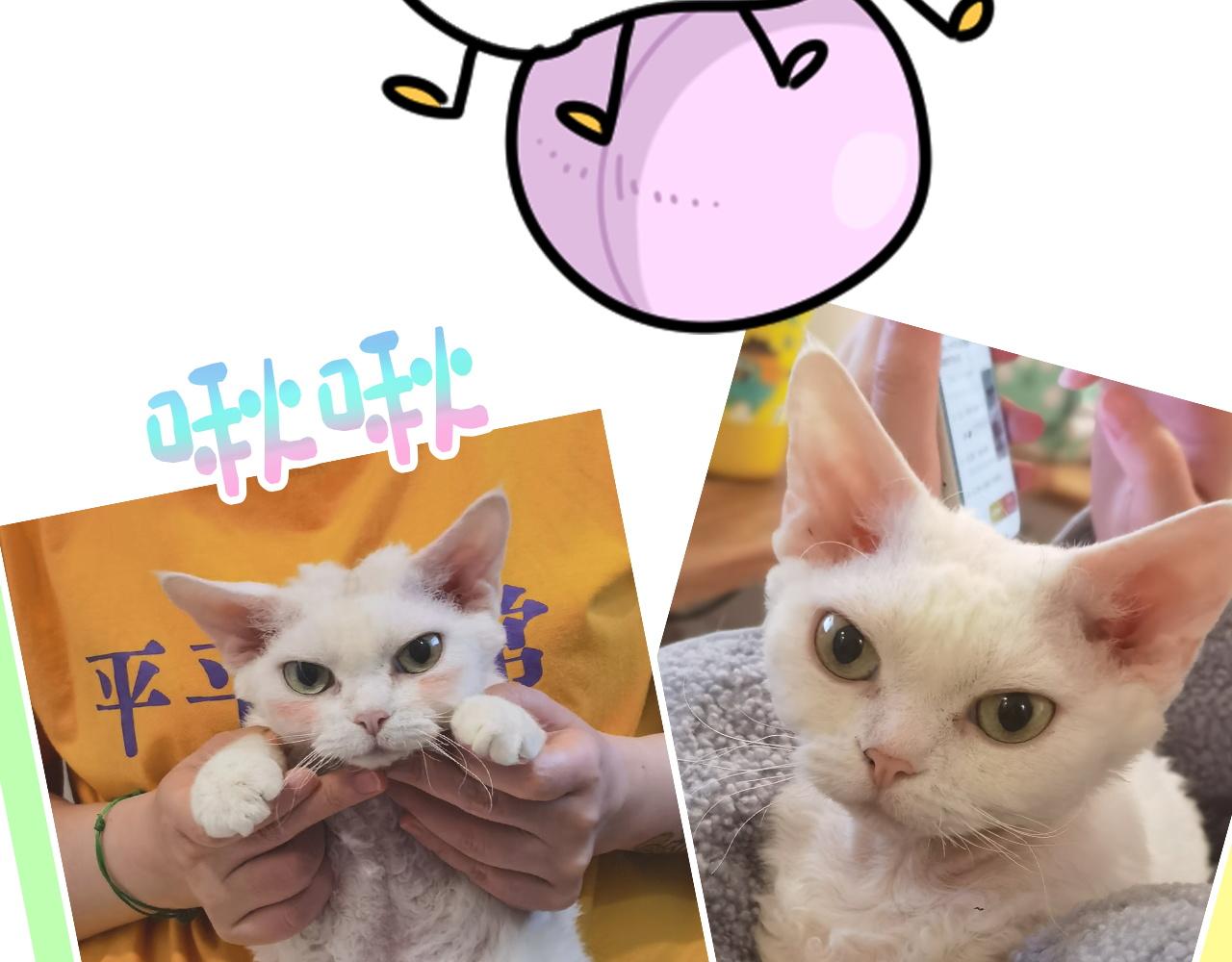 番外 完美的他76