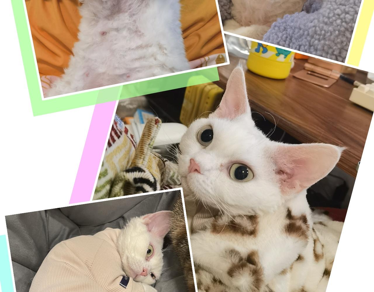 番外 完美的他77