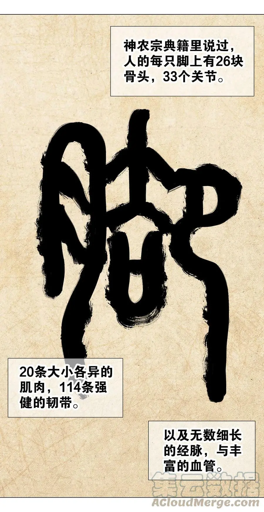 056 纤尘不染足64