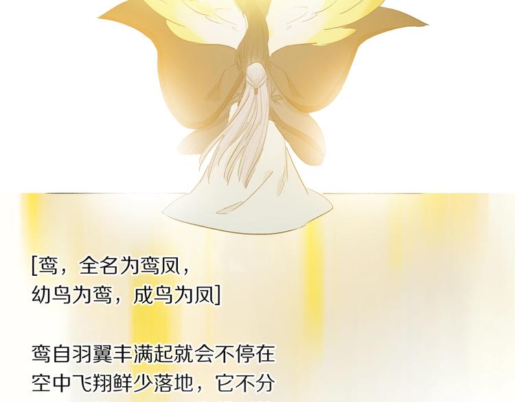 番外：候鸟131