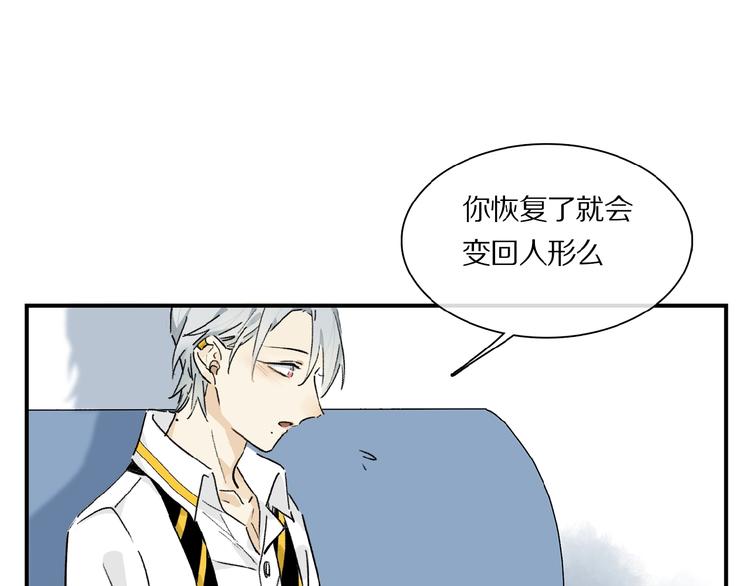 第29话 美丽的伤痕26