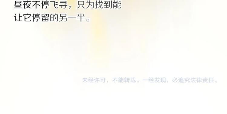 番外：候鸟132