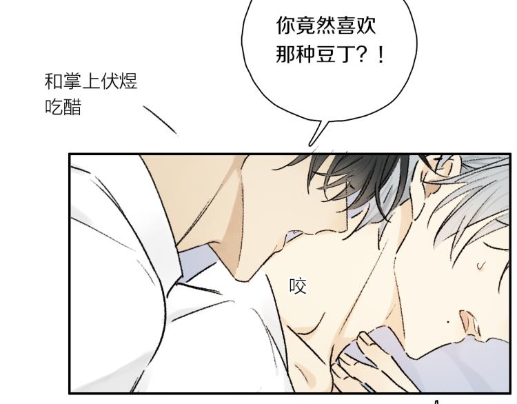 中秋特别篇：迷你狐出没！100
