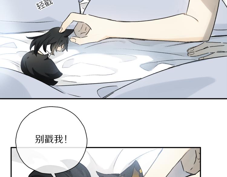 中秋特别篇：迷你狐出没！43