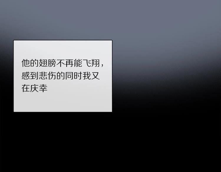 番外：候鸟61
