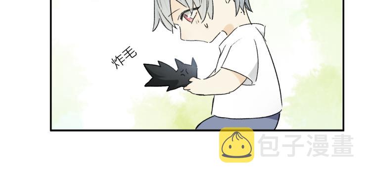 中秋特别篇：迷你狐出没！49