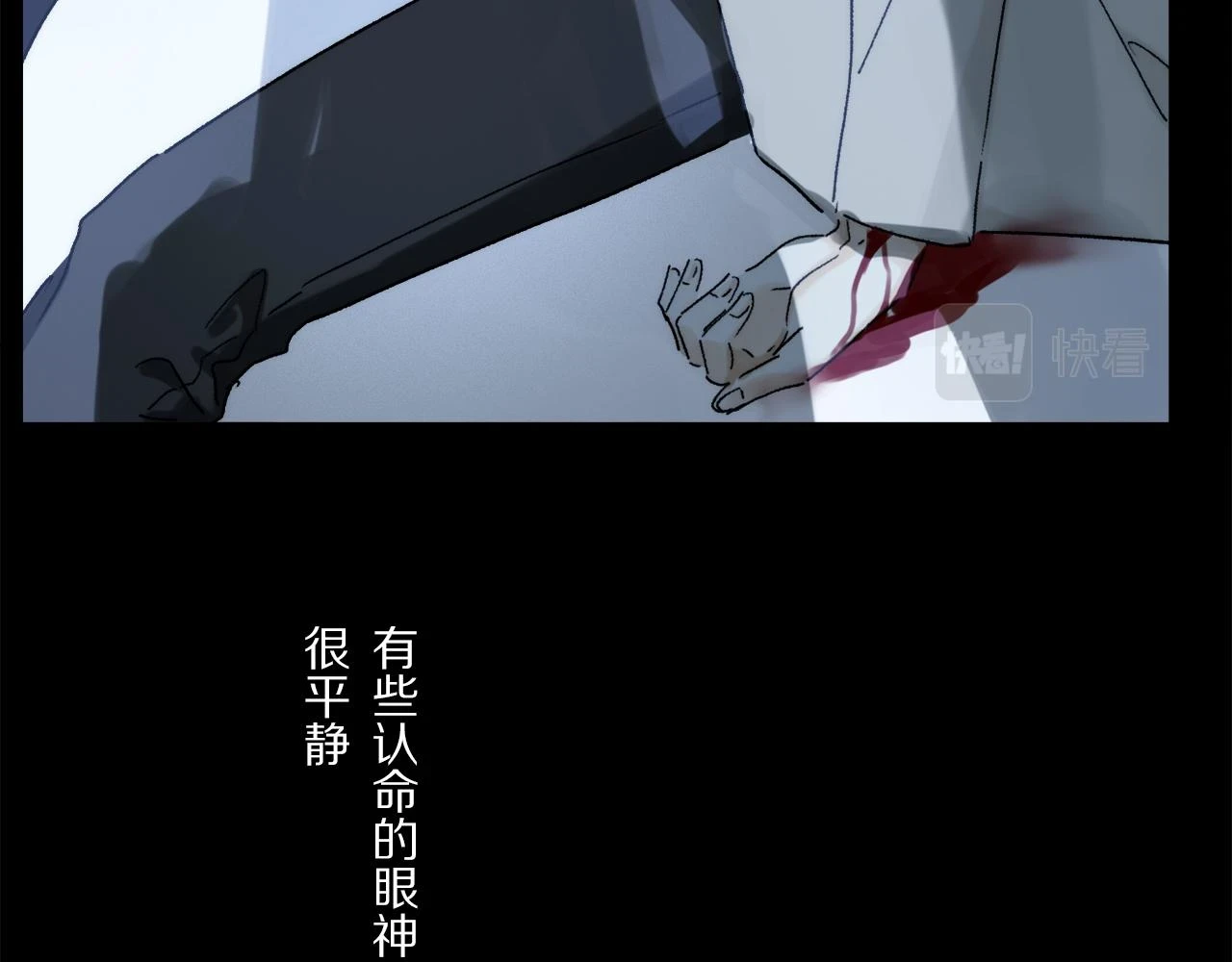 第87话 愿景12