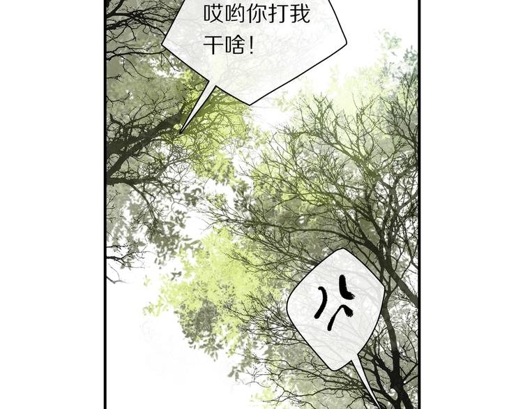 番外：候鸟40