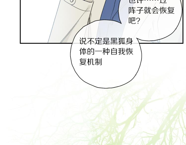中秋特别篇：迷你狐出没！55