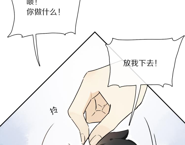 中秋特别篇：迷你狐出没！46