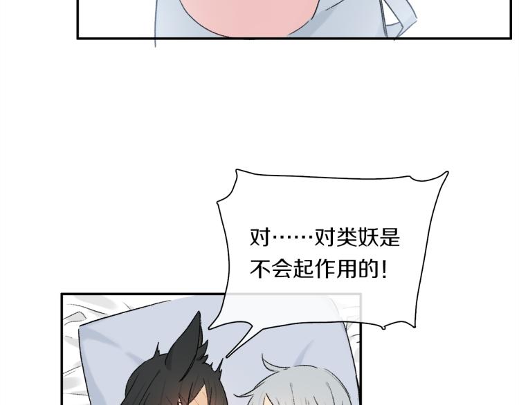 中秋特别篇：迷你狐出没！110