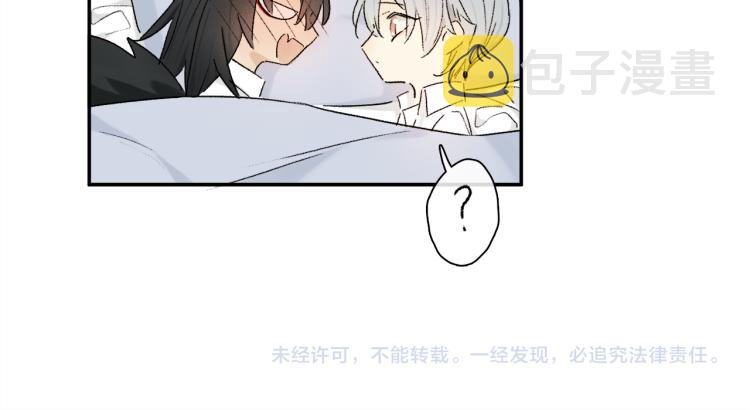 中秋特别篇：迷你狐出没！111