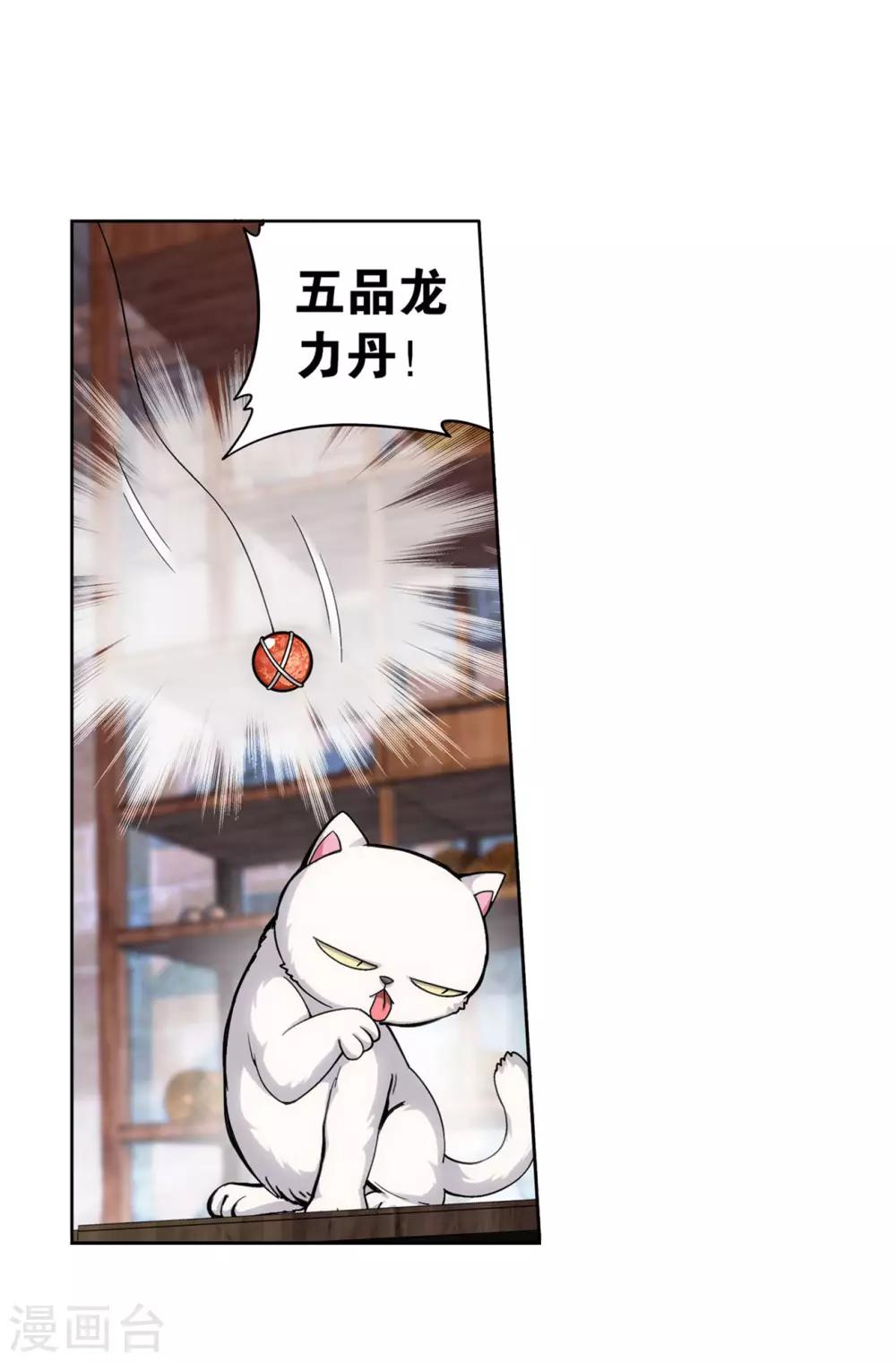 第870话 灵猫17