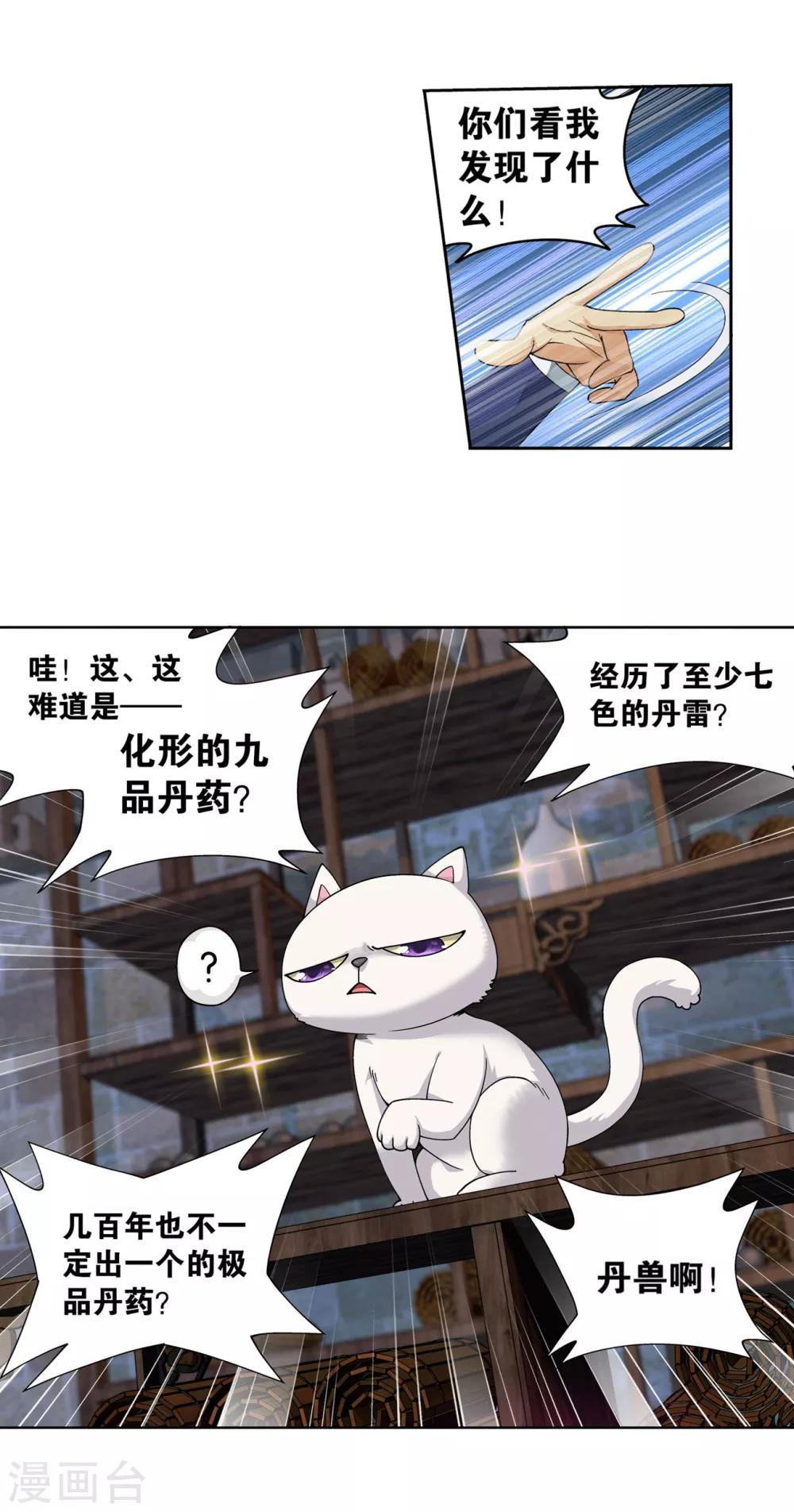 第870话 灵猫9