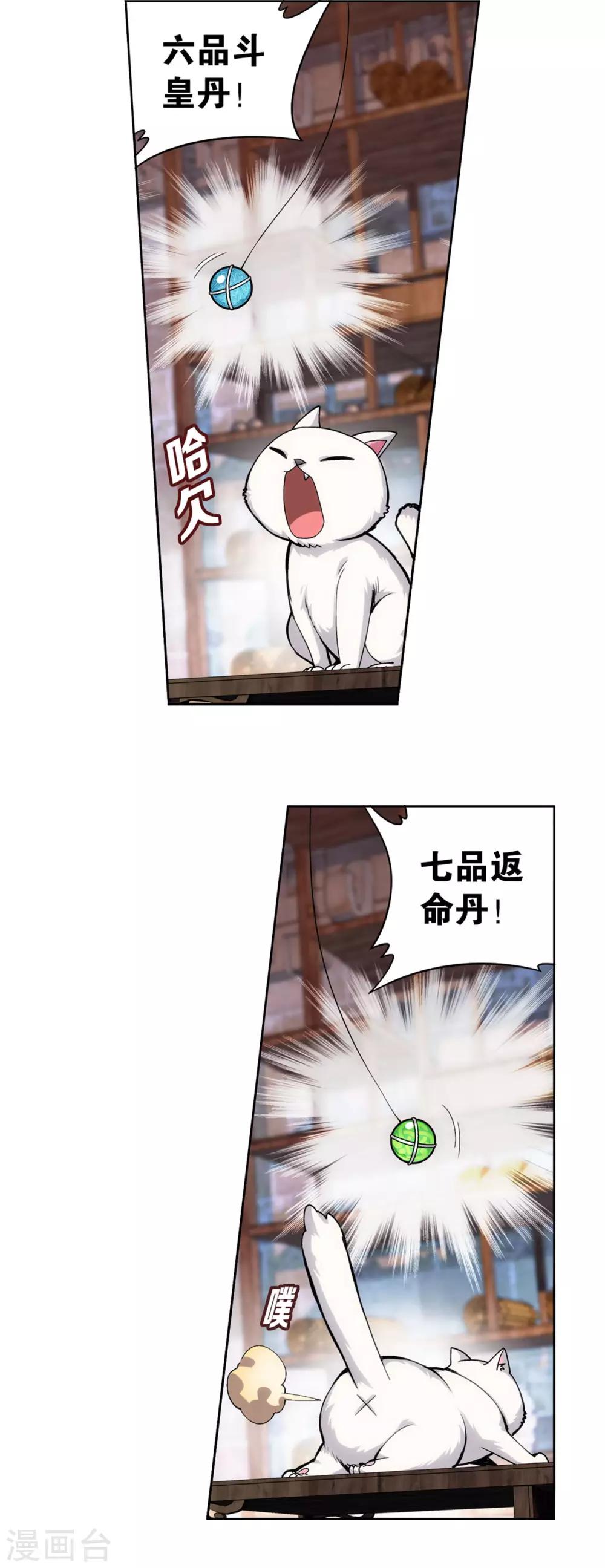 第870话 灵猫18