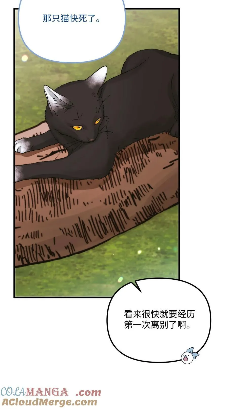 94 嫉妒18