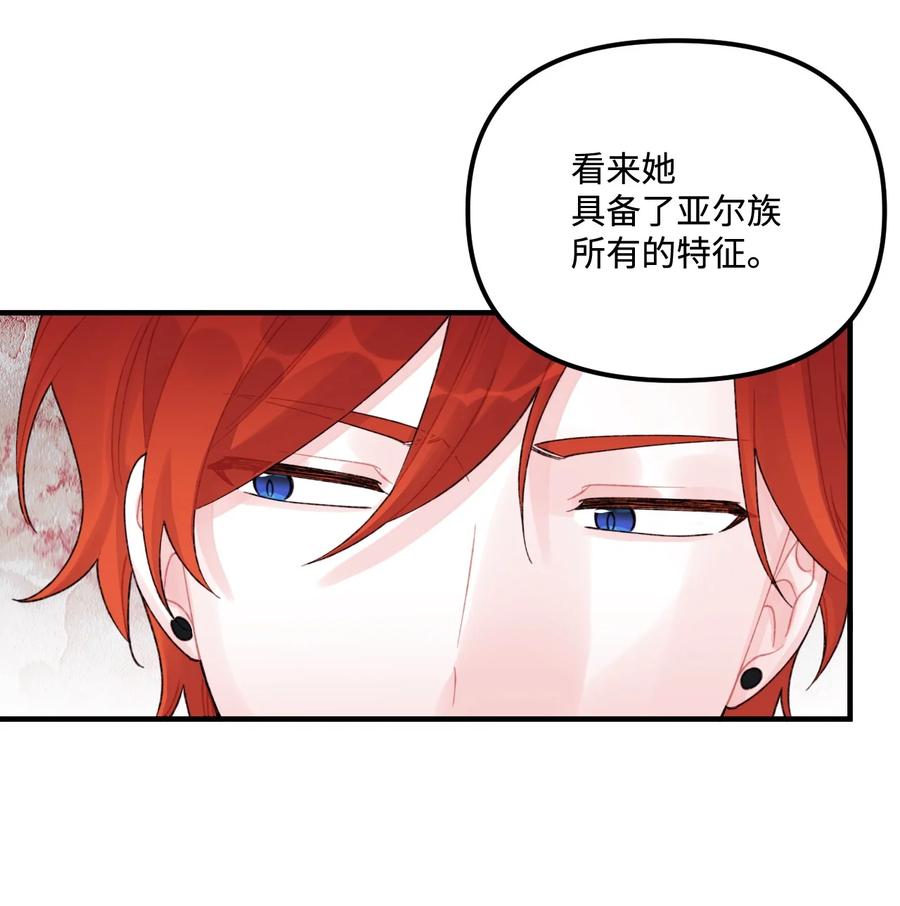 31 神秘的亚尔族50