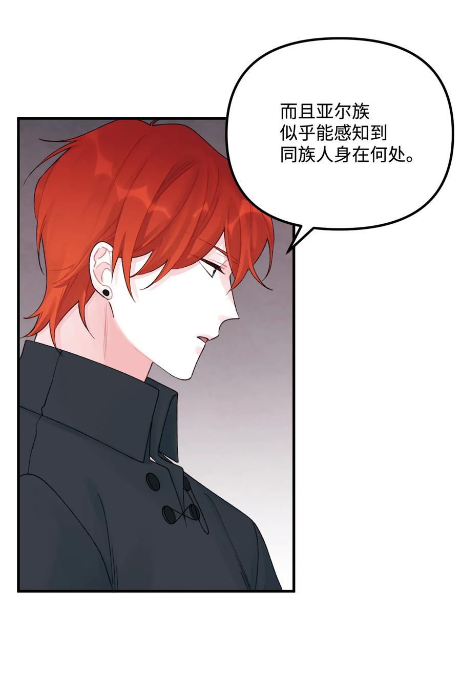 31 神秘的亚尔族46
