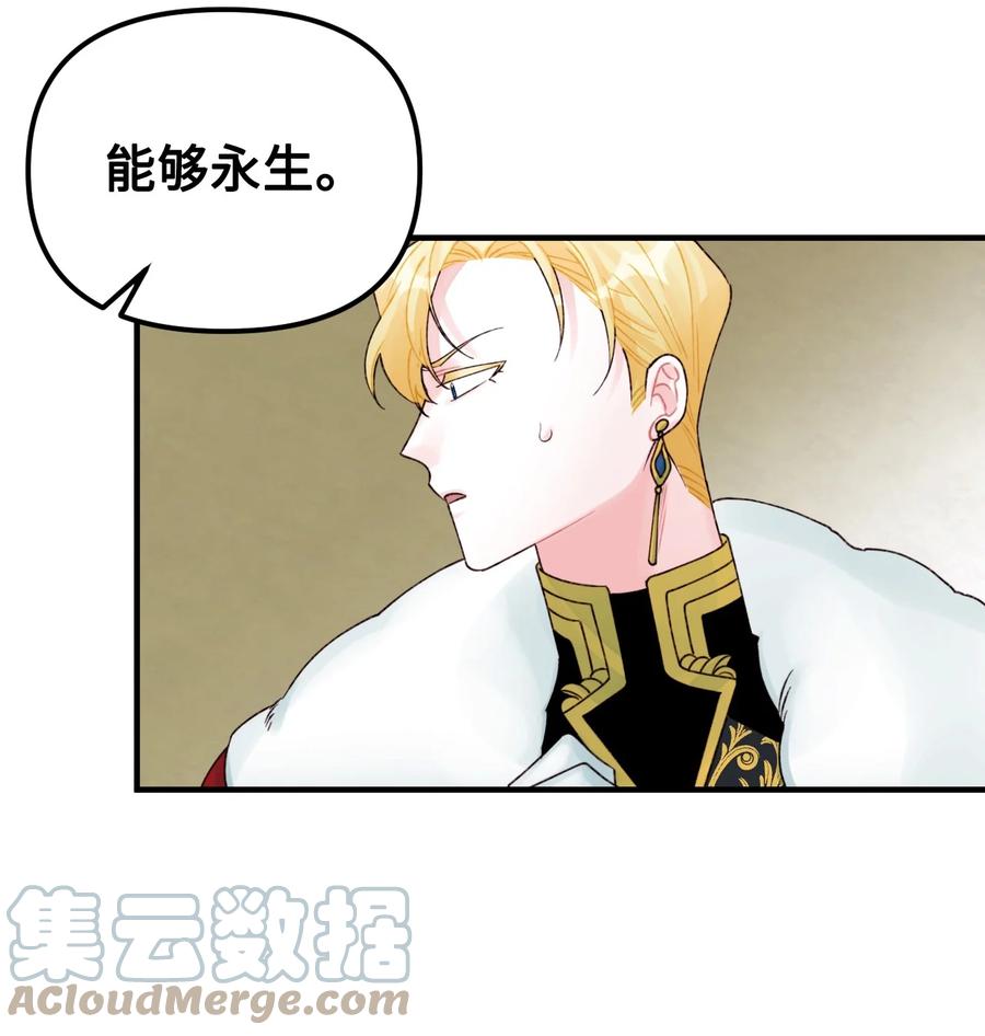 31 神秘的亚尔族51