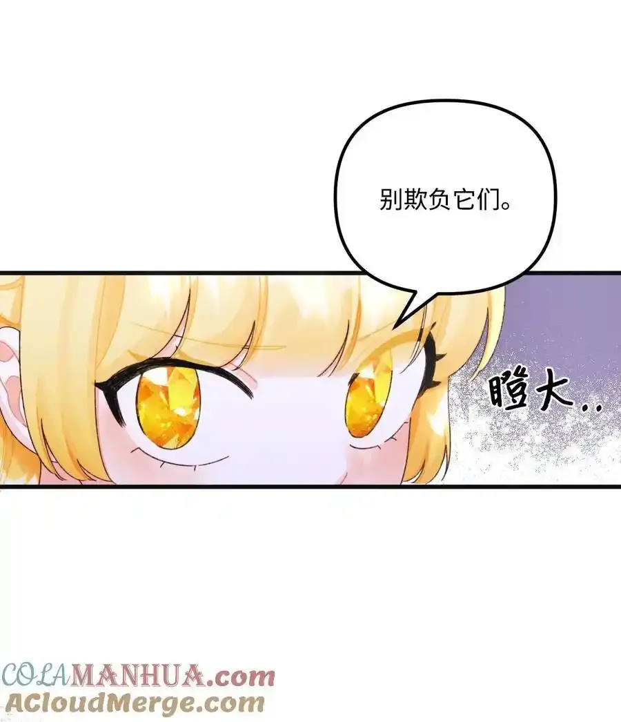 73 操心的伊格尼36