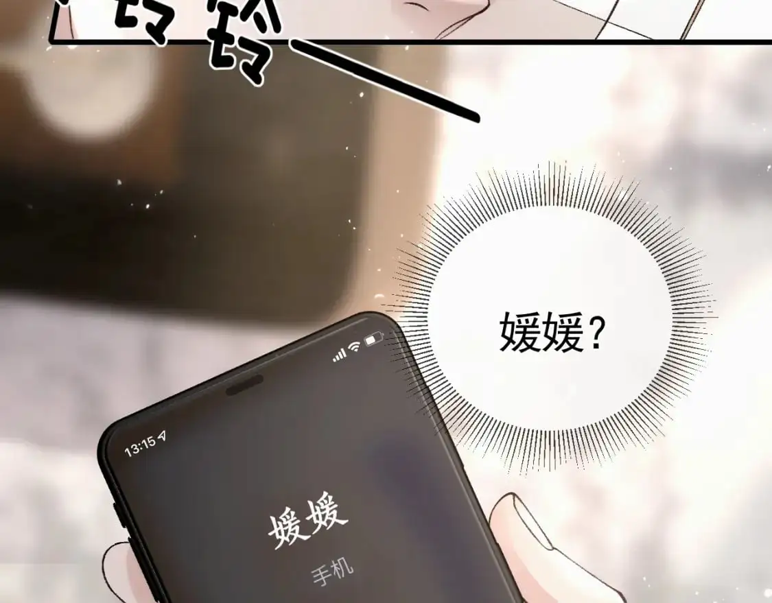 第33话 顾总电脑里的照片96